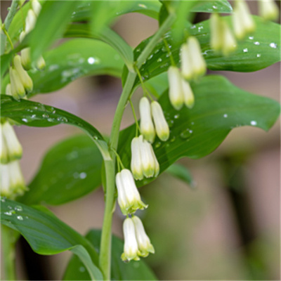 微信图片_2025-12-01_095259_049.jpg 微信图片_2025-12-01_095259_049.jpg