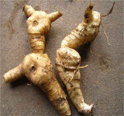 微信图片_2025-12-01_095301_830.jpg 微信图片_2025-12-01_095301_830.jpg