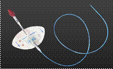 picc.png
