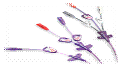 Bard? Power PICC Catheter single-dual-triple